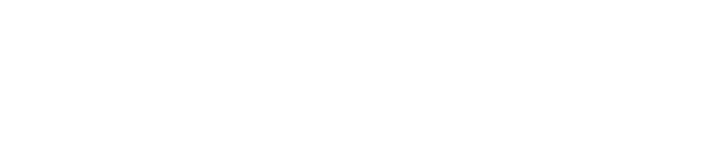 Anglian Internet Logo